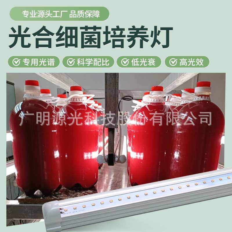 水产品养殖光合细菌培养灯光生物反应器补光灯植物灯生长灯