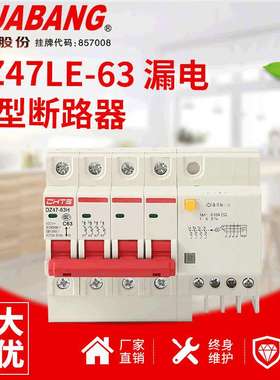漏电保护器DZ47sLE家用开关DZ47LE-63 断路器漏保2P32A40A63