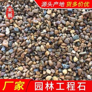 供应杂色鹅卵石湿地园林河滩变电站油池变压器用河卵石