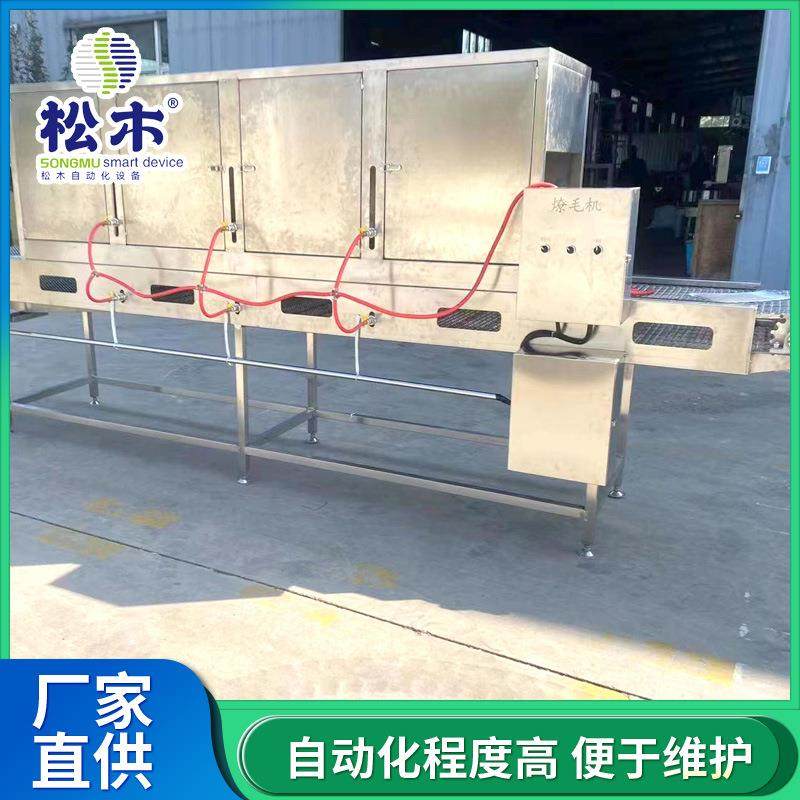 带皮五花肉猪头连续式燎毛设备猪蹄燎毛机干皮烧毛机羊头去毛机,清洗/食品/商业设备,肉制品加工设备,淘宝优惠券,粉丝福利购,淘宝优惠卷