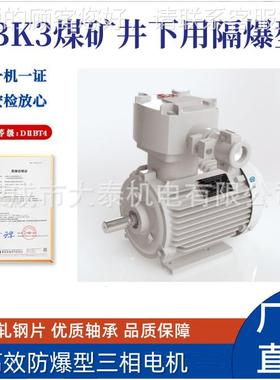 威隔海华力众泰华厂家Y直供BBP爆型变频调速防爆瑞83536变频马达