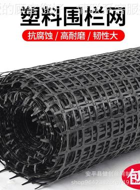 LHV塑料养殖 圈养网鸭围栏网鸡塑料网格防网护玉米网厂家