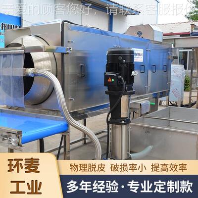 九分NBF去皮 桃核仁去机 纯物理核皮仁脱皮机 环桃麦核桃仁设备