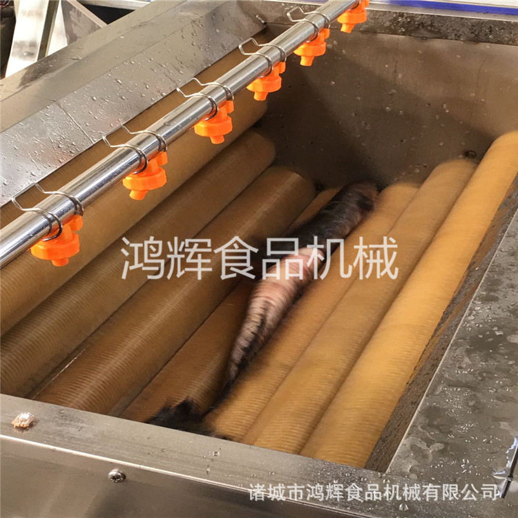 山东洗鱼去鳞机厂家 全自动萝卜毛刷清洗机 不锈钢喷淋洗菜机,清洗/食品/商业设备,洗果机/洗菜机,淘宝优惠券,粉丝福利购,淘宝优惠卷