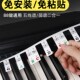 免粘钢琴键盘卡纸电钢琴琴键音符条键键五线谱简谱音标