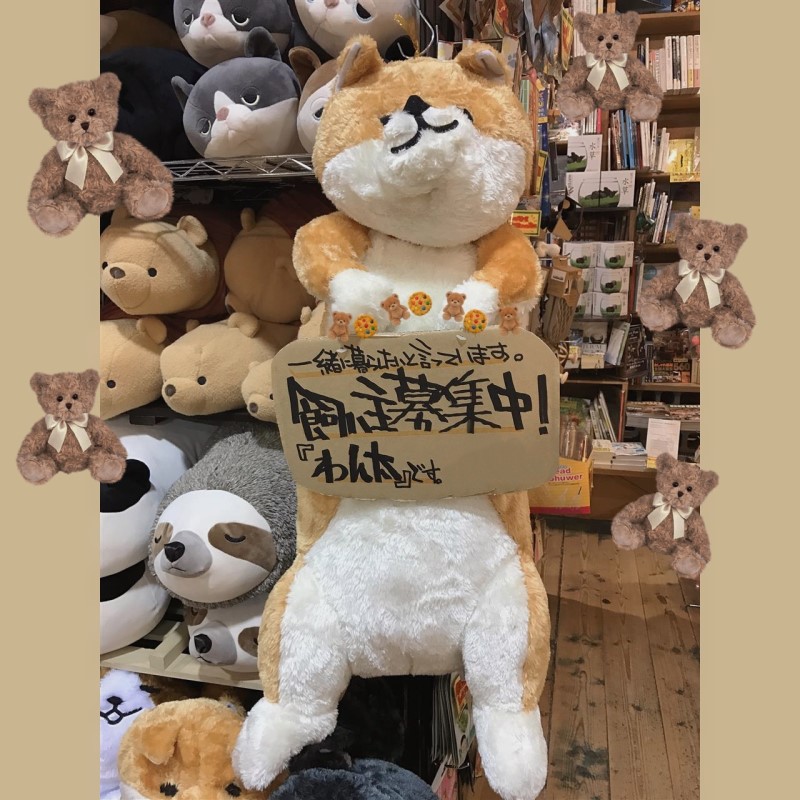 单身狗浅茶柴可爱傻狗特别柴犬85cm抱枕巨大长条毛绒玩偶公仔游戏