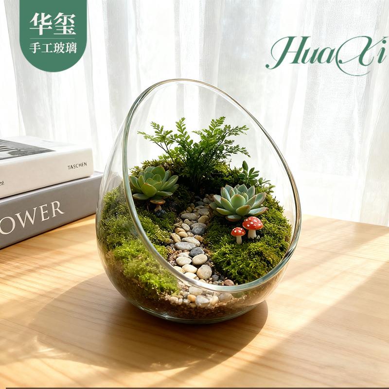 植物盆栽微景观玻璃瓶DIY苔藓微景观生态瓶创意办公室绿植景观瓶