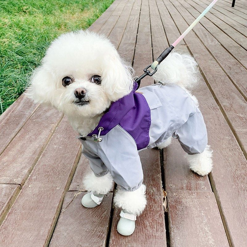 狗狗雨衣狗狗衣服夏季宠物小狗冲锋衣雪纳瑞小型犬比熊泰迪四脚衣,宠物/宠物食品及用品,狗宠物服装/雨衣,淘宝优惠券,粉丝福利购,淘宝优惠卷