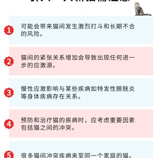 陪士奇猫咪隔离房猫产房超大号狗产房隔离围栏封闭式猫窝猫帐篷