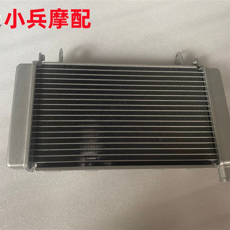 适用钱江贝纳利黄龙600水箱BJ600GS BN600i水箱散热器带支架