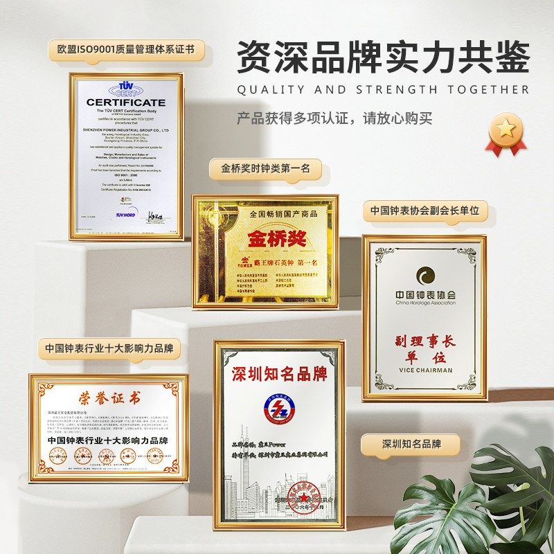 霸王钟表挂钟客厅时钟挂墙免打孔时尚静音时钟轻奢简约石英钟机芯