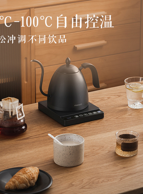 maxwin电热水壶恒温保温一体烧水壶家用功夫茶泡茶专用细长嘴咖啡