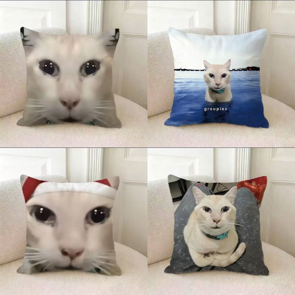 丑橘恶搞小猫抱枕生日礼物卧室床头腰枕客厅靠背枕头办公室靠枕