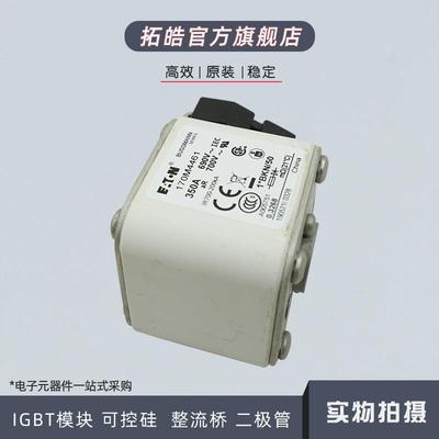 快速保险丝熔断器170M4446/4447/4458/4459/4460/4461/4462/4463