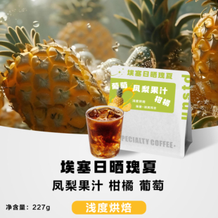 Unstd 非标准咖啡埃塞日晒瑰夏G1浅烘菠萝果汁新鲜烘焙227g