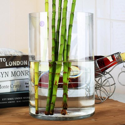 特大号透明落地玻璃花瓶百合富贵竹花瓶高款水培客厅直筒插花摆件