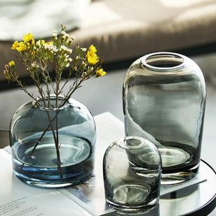 饰水养鲜干花插花瓶工艺品摆件 轻奢北欧简约风创意玻璃花瓶客厅装