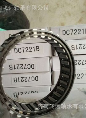 单向锲块轴承BW13168 BW13255 电动滚E筒轴承X-135006 BWC13236