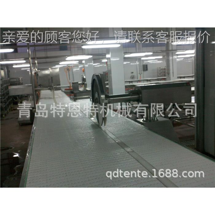 NT输送带输送E食品双层三层厂家TSSD厂家直销单层猪肉直销分割尼