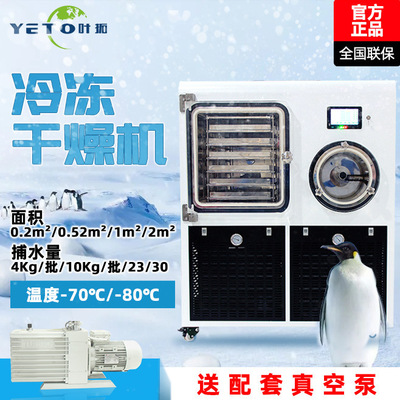 上海叶拓 YTLG-20F 0.2平方原位冷冻干燥机硅油加热中试冻干机