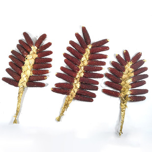 文玩玉米串挂件装饰红玉米真玉米棒带叶小苞米束摆件田园花艺挂壁