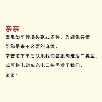 通用纯铜口锂电充电器国标2+2电动车转N换插头原装新款品字头