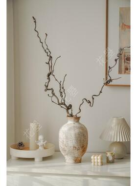 花曌 龙爪枣枯枝干支干树枝造景禅意诧寂风民宿家居氛围感好物