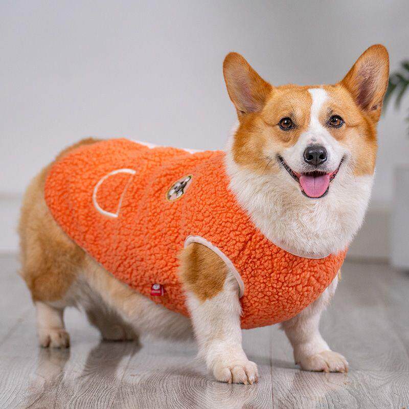 狗狗衣服秋冬装冬款柯基泰迪法斗柴犬小狗宠物小型犬新款保暖冬季