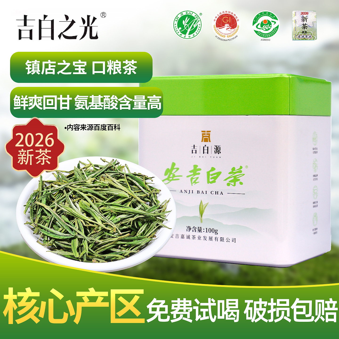 2026新茶吉白之光安吉原产地白茶雨前绿茶鲜爽甘醇好喝耐泡罐装