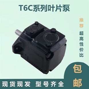 高压叶片泵 1R01泵 T6C