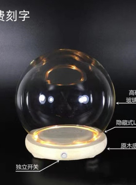 郁金香小夜灯 圆形玻璃罩创意客厅桌面展示罩玩偶防X尘罩侧面开关