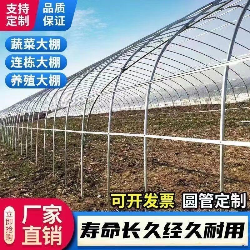 大棚骨架农业连体连栋大棚钢架种植养殖全套种植S保温大棚养鸡鸭