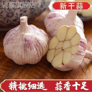 山东紫皮大蒜头干蒜特大果新鲜农家紫皮大头蒜便宜 超低价