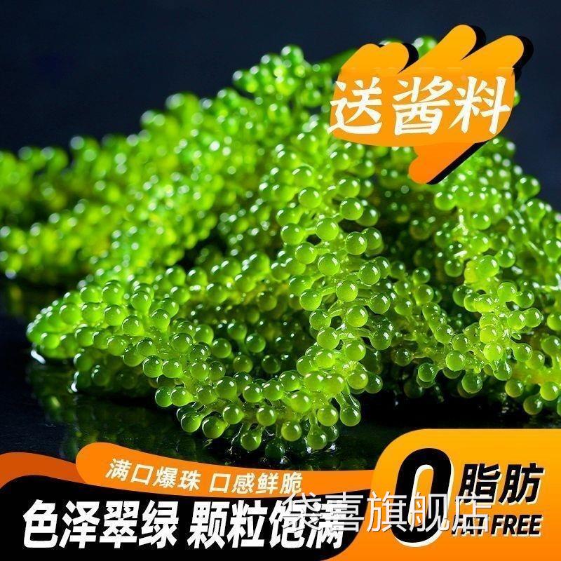 儿童海葡萄水葡萄新鲜绿色鱼子酱盐渍海葡萄爆珠海葡萄官方旗舰店