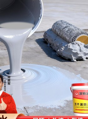 屋顶防水补漏材料渗水漏水房顶罅隙专用涂料楼顶平房补漏王堵漏王