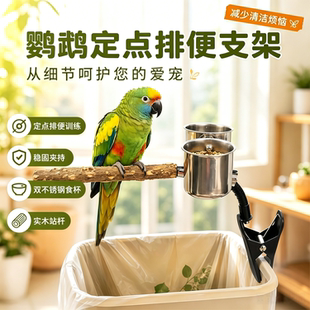宠帮仕鹦鹉花椒木站杆站架垃圾桶定点排便拉屎夹子创意拉粑粑专用