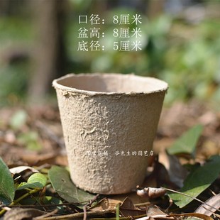 纸浆育苗盆育种花盆营养盆培养盆营养钵定植盆一次性营养杯育苗杯