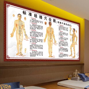 生病的步骤墙贴纸装饰画九种体质寒湿体质中医养生五行图子午流注