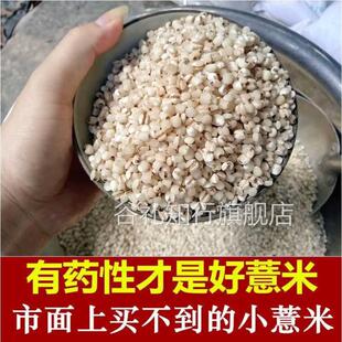 正宗金沙薏米福建仙游原产地小薏仁米半透明小薏米仁小粒中药材