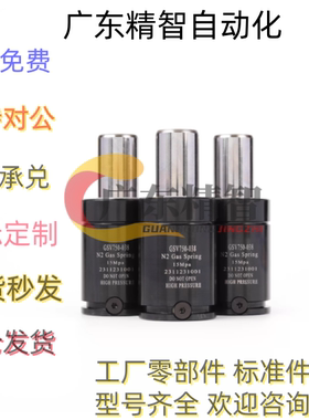 GSV170/320/350/500/750-7 10 15 19 25 38 50 63 75氮气模具弹簧
