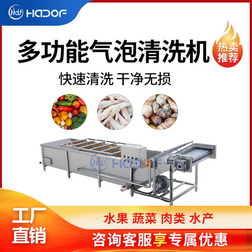 山楂气泡清洗机西红柿豆角喷淋清洗流水线腌制菜脱盐清洗加工设备