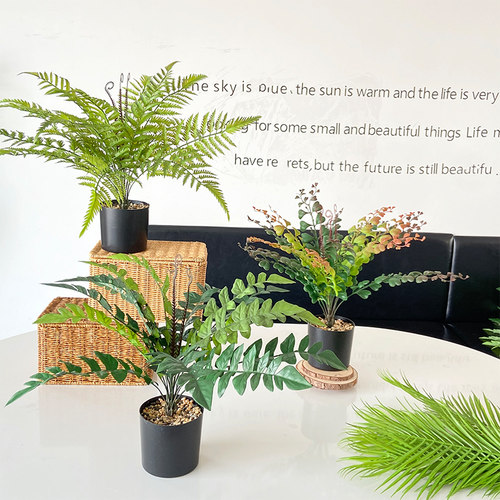仿真花绿植盆栽摆件蕨类植物装饰造景热带雨林室内客厅仿生假绿植
