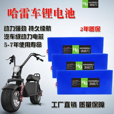 哈雷电动车锂电池60V12Ah20Ah72V48V启牛沃趣小踏板车大容量电瓶