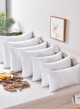 枕芯抱枕沙发靠垫芯内芯长方形内胆芯正方形十字绣40506070靠背芯