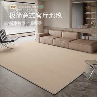 极简卧室沙发轻奢高级防水茶几家用地垫 地毯客厅纯色免洗可擦意式
