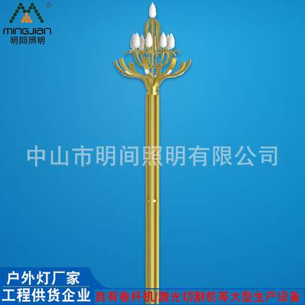直销中式创意户外景观玉兰灯市政工程建设道路8米15米led中华灯