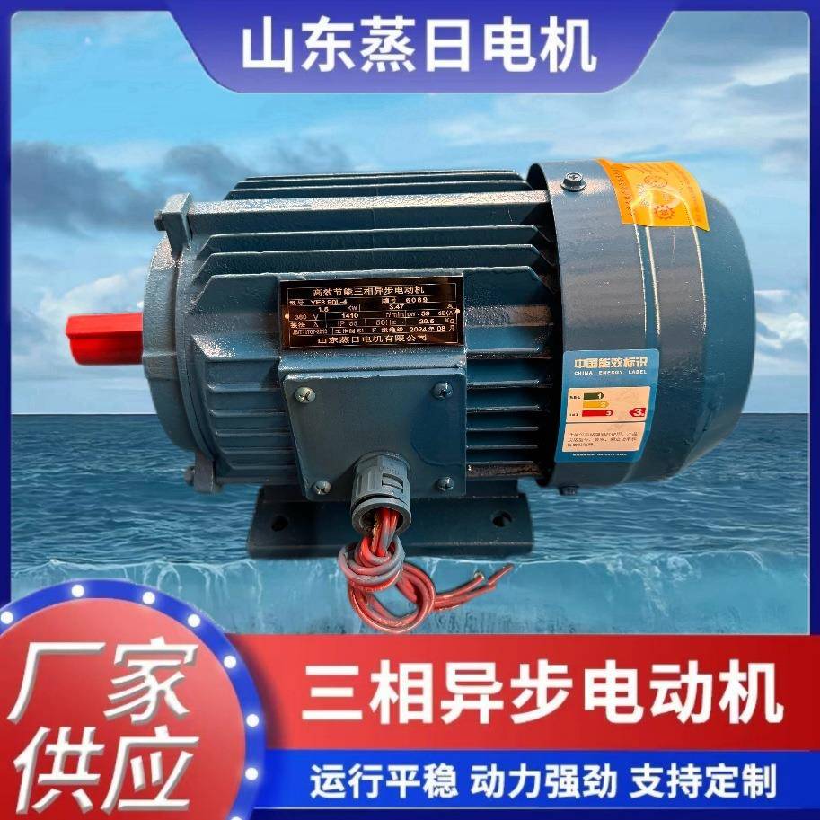 YE34-2.2W三相异步电动机可加工规格齐全