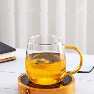 牛奶玻璃杯单层透明带把水杯简约加厚家用耐高温可电陶炉加热 欧式