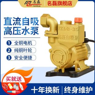 小型自吸泵 名磊直流抽水机家用12v24v48v60v72v抽水泵水井便携式