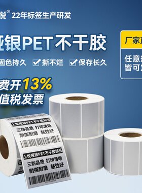 亚银pet不干胶贴纸50 60 70 80 90防水防撕公司资产标签 哑银标贴